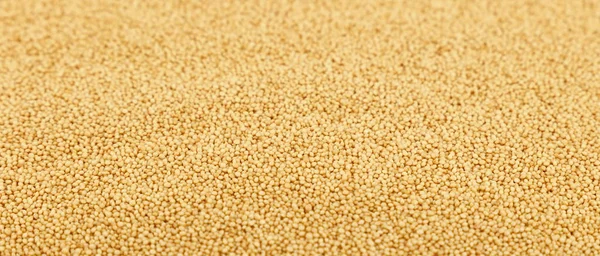 Amaranth grain seeds close up background — Stock Photo, Image