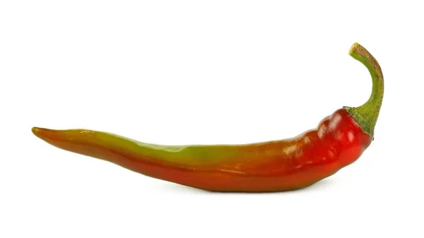 Red hot chili paprika közelről, elszigetelt fehér — Stock Fotó