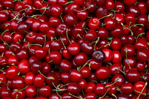 Cerezas rojas frescas en el mercado minorista de cerca — Foto de Stock