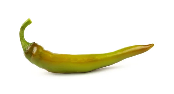 Grön färsk jalapeno peppar som närbild på vit — Stockfoto