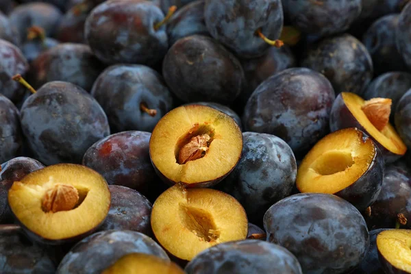 Çiftçi pazarda taze olgun mavi Erik yakın çekim