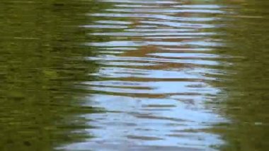 Renkli çalışan su yüzeyinde ripples