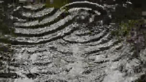 Drops falling in water with ripples close up — Stock Video