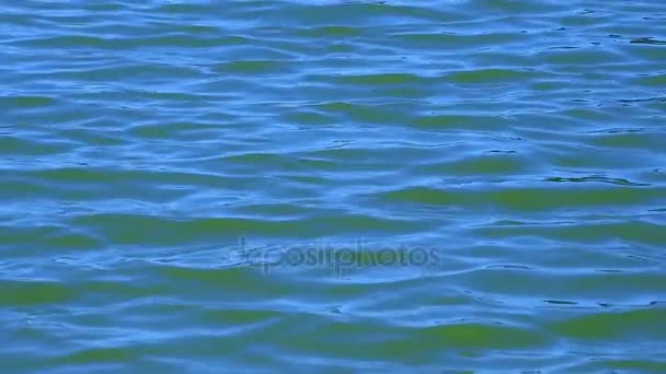 Волны и рябь протекают по синей поверхности воды — стоковое видео