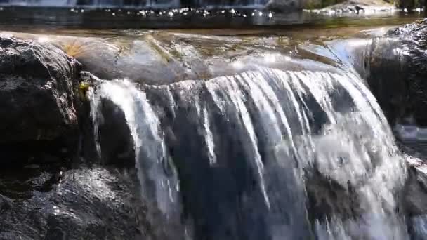 Corriente de agua del arroyo con pequeña grieta — Vídeos de Stock