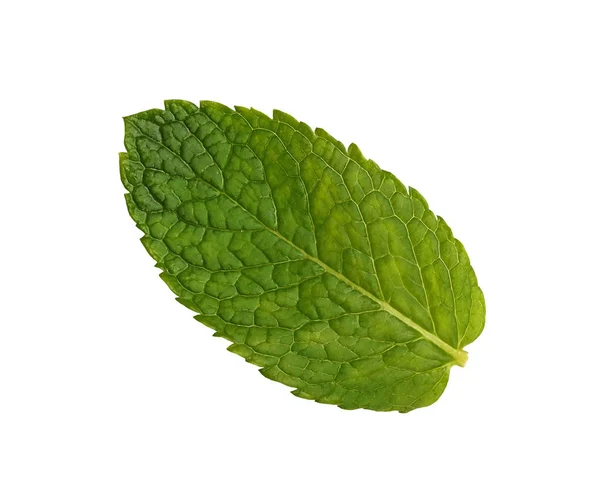 Tutup daun mint hijau segar yang terisolasi pada warna putih — Stok Foto