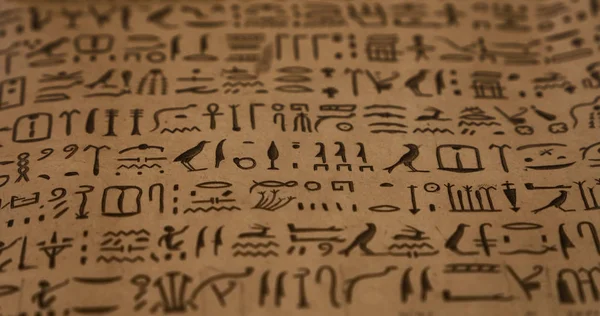Achtergrond van oude Egyptische hiërogliefen — Stockfoto