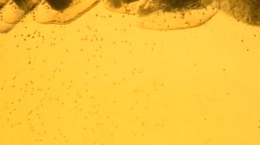 Maden suyu ya da limonata buz küpleri ile kapatmak