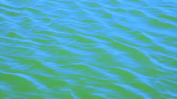Fale i zmarszczki uruchamiania na powierzchni wody niebieski — Wideo stockowe