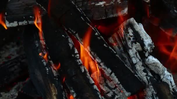 在篝火壁炉中燃烧的木柴火火焰尖顶 — 图库视频影像