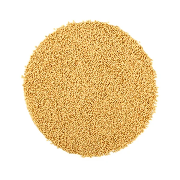 Rond gevormde amarant zaden geïsoleerd op wit — Stockfoto