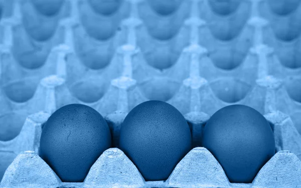 Close up ovos de galinha tonificados azuis na caixa da bandeja — Fotografia de Stock