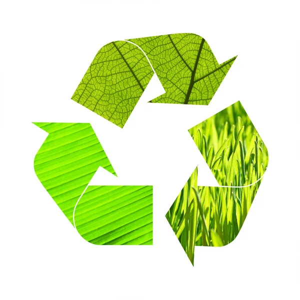 Illustratie recycling symbool van groen blad — Stockfoto