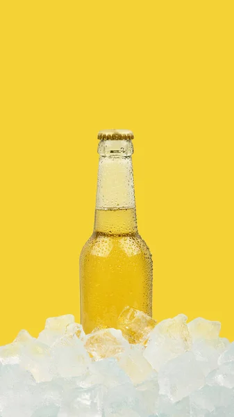 Feche Uma Garrafa Vidro Transparente Cerveja Lager Fria Cubos Gelo — Fotografia de Stock