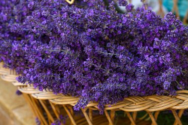 Fransa 'nın Provence şehrinde perakende satış yapan ahşap sepette taze mor lavanta çiçeklerini kapatın.