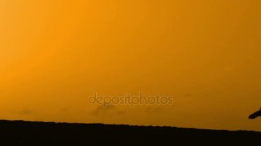 Sunset bulvarında bir kumsalda dans siluet