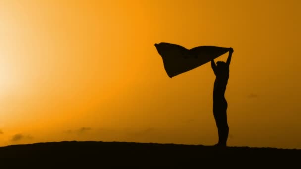 Silhouette dancing on a beach on sunset — Stock Video