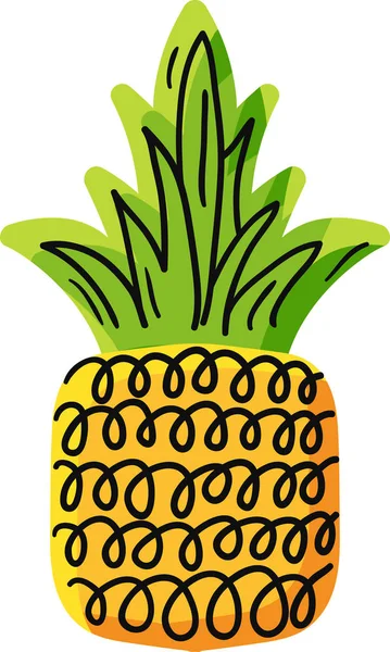 Natural pineapple hand drawn vector illustration — Stock Vector