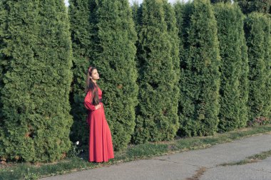 Kent parkta yaz yürüyüş