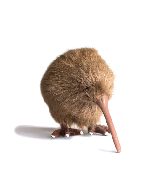 Farklı ülkelerin yaban hayatı