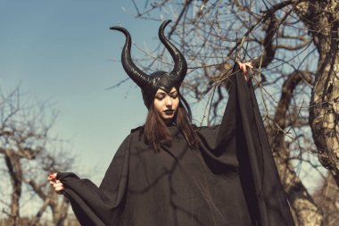 Esmer bir bahar elma bahçesi