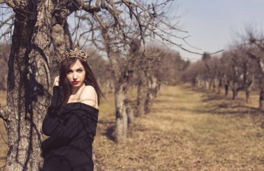 Esmer bir bahar elma bahçesi