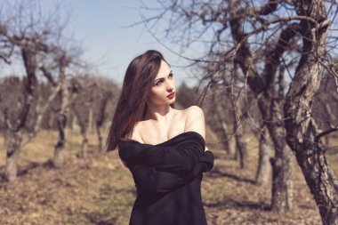 Esmer bir bahar elma bahçesi