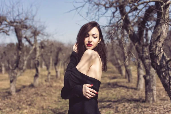 Brunette dans un verger de pommes de printemps — Photo