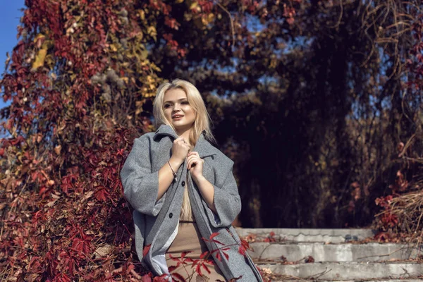 Herbstspaziergang im Park mit einer niedlichen Blondine — Stockfoto