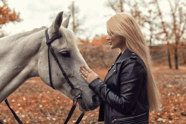 Séance photo d'automne dans le parc avec un cheval — Photo