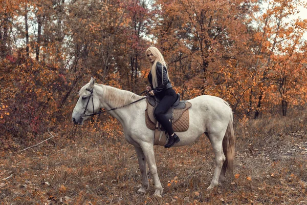 Séance photo d'automne dans le parc avec un cheval — Photo