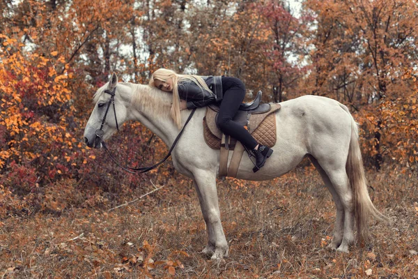 Φθινοπωρινή φωτογράφιση στο πάρκο με ένα άλογο — Φωτογραφία Αρχείου