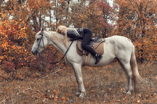 Séance photo d'automne dans le parc avec un cheval — Photo