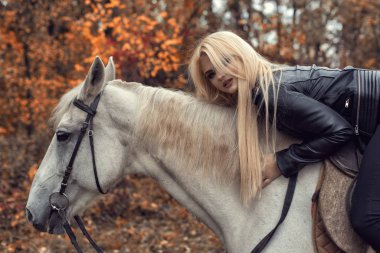 Parkta bir atla sonbahar fotoğraf çekimi.