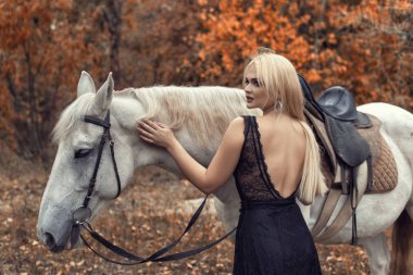 Parkta bir atla sonbahar fotoğraf çekimi.