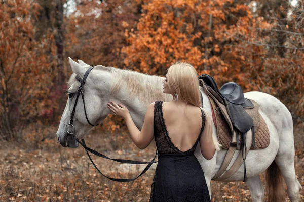 Parkta bir atla sonbahar fotoğraf çekimi. — Stok fotoğraf