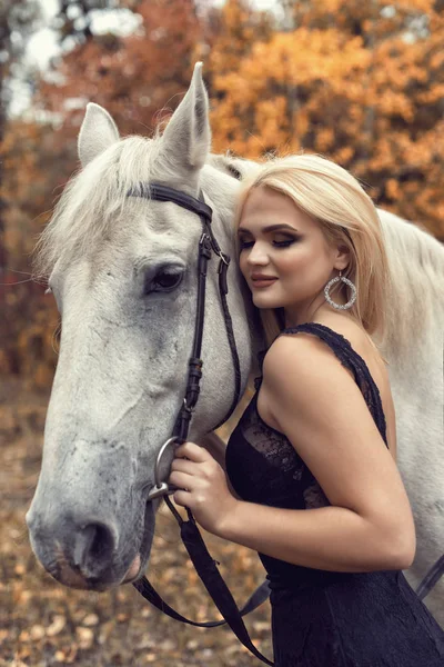 Sesión de fotos de otoño en el parque con un caballo — Foto de Stock