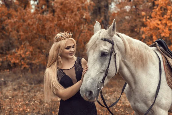 Höstfotografering i parken med häst — Stockfoto