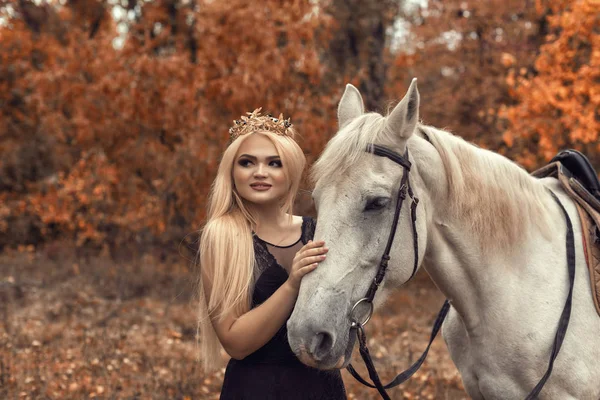 Sesión de fotos de otoño en el parque con un caballo — Foto de Stock