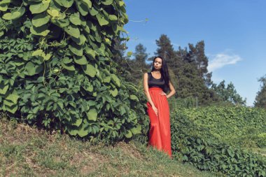 Belki bir kızla parkta yürürüm