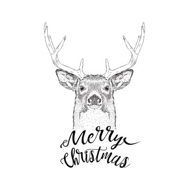 Geyik ile Noel kartı. Tasarım yazı mutlu Noeller. Vektör çizim