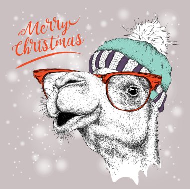 Kış şapkalı deve ile Noel kartı. Tasarım yazı mutlu Noeller. Vektör çizim