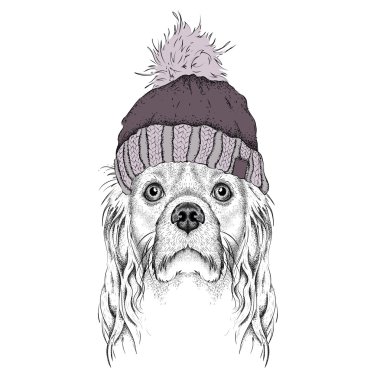 Noel poster kış şapka görüntü köpek portre ile. Vektör çizim.