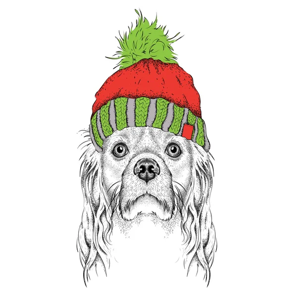Vánoční plakát s obraz Portrét psa v zimě klobouku. Vektorové ilustrace. — Stockový vektor
