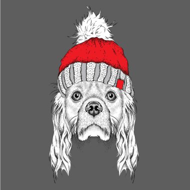 Noel poster kış şapka görüntü köpek portre ile. Vektör çizim.