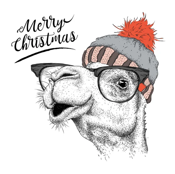 Cartão de Natal com camelo no chapéu de inverno. Feliz Natal lettering design. Ilustração vetorial — Vetor de Stock