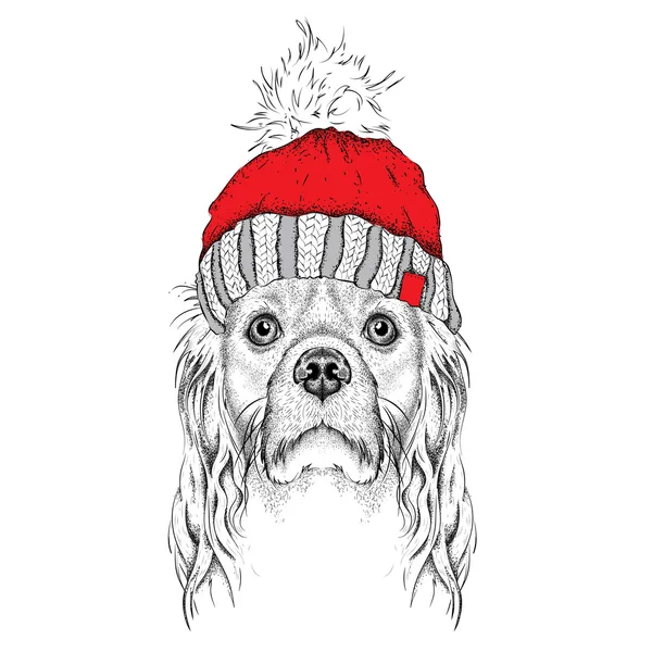 Το χριστουγεννιάτικο αφίσα με το σκύλο πορτρέτο εικόνα στο χειμερινό καπέλο. Εικονογράφηση διάνυσμα. — Διανυσματικό Αρχείο