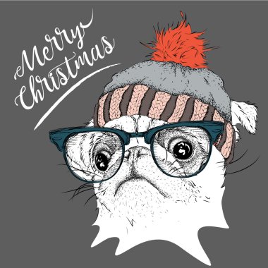 Noel poster kış şapka görüntü pug portre ile. Vektör çizim.