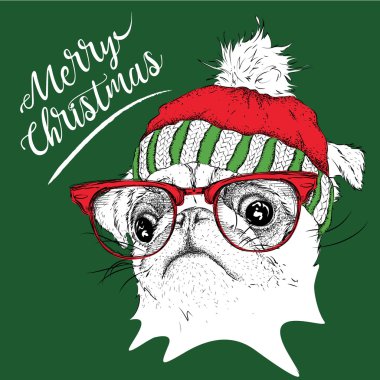 Noel poster kış şapka görüntü pug portre ile. Vektör çizim.