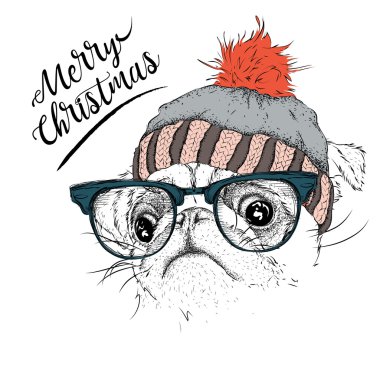 Noel poster kış şapka görüntü pug portre ile. Vektör çizim.